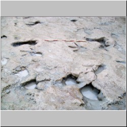 100_0633 (2009-27-07)m.JPG